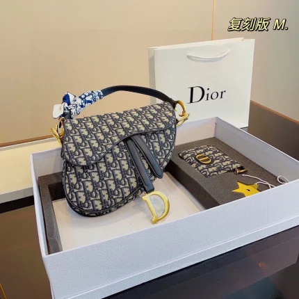 Dior Saddle 001